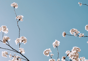 Blog post headers-13