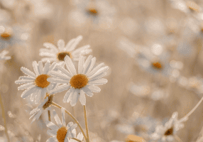 Blog post headers-14