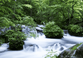 Blog post headers-16